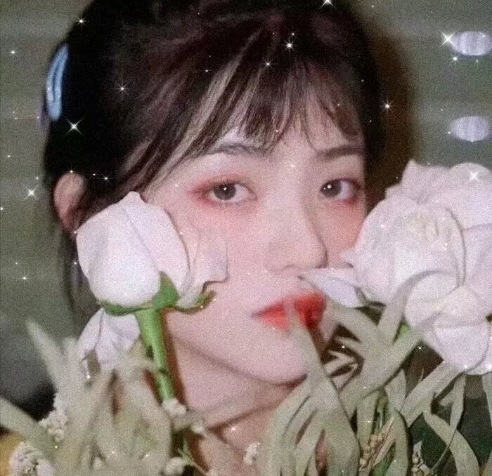 监狱风云录2